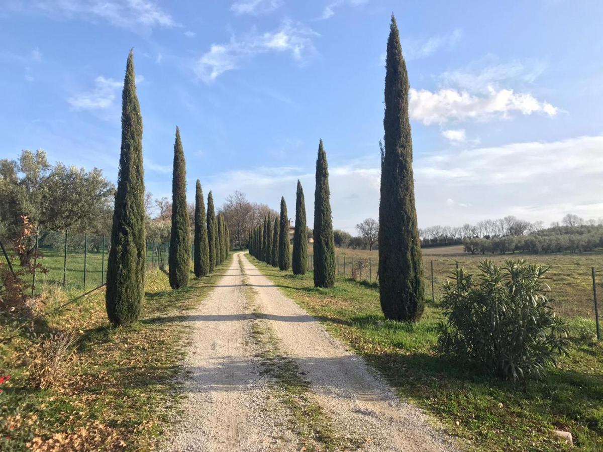 Agriturismo La Lampada Di Atena Vetralla Ngoại thất bức ảnh